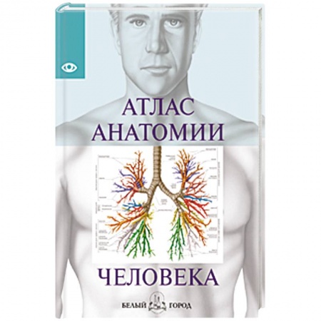 Книги, книга Атлас анатомии человека заказать