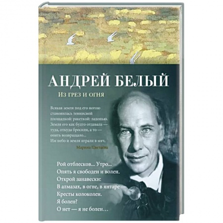 Русская поэзия, книга Из грез и огня заказать