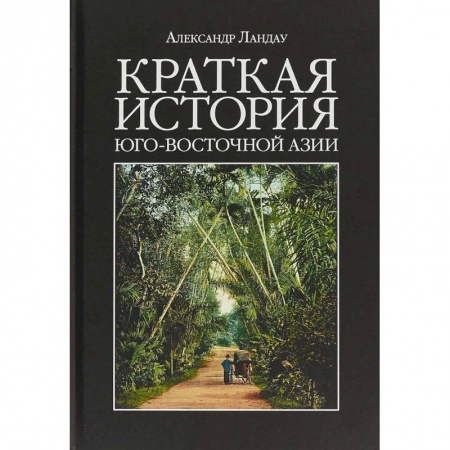 Другие страны Азии и Африки, книга Краткая история Юго-Восточной Азии заказать
