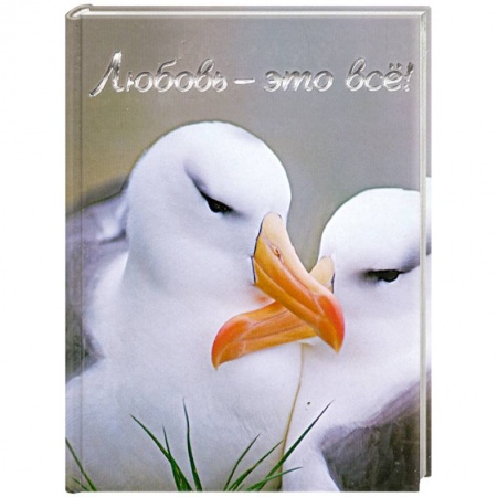 Книги, книга Любовь - это всё! заказать