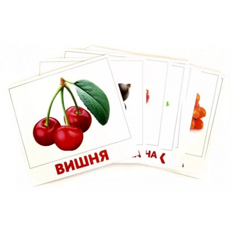 Окружающий мир, книга Ягоды заказать