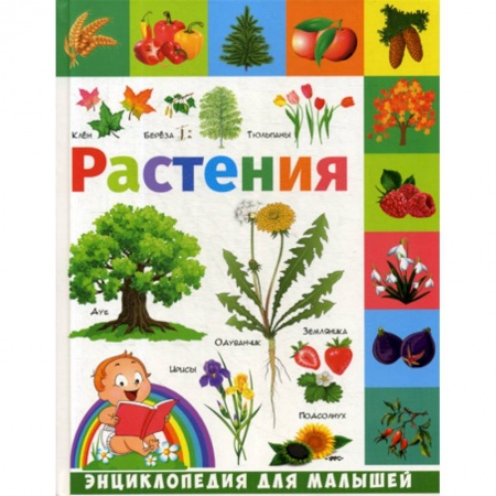 Животный и растительный мир, книга Растения заказать