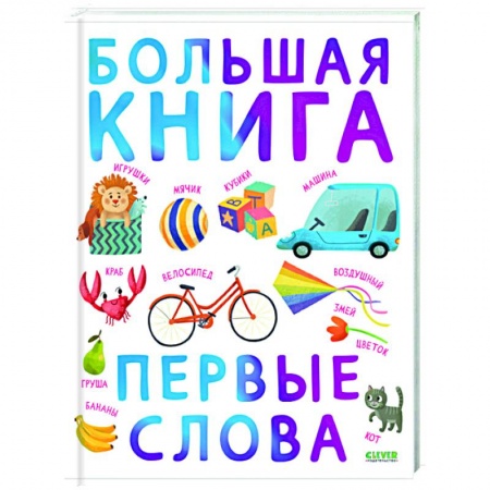 Знакомство с миром, развитие малыша, книга Первые книжки малыша. Большая книга. Первые слова заказать