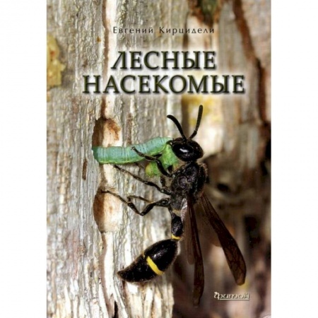 Зоология, книга Лесные насекомые заказать