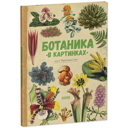 Животный и растительный мир, книга Ботаника в картинках заказать