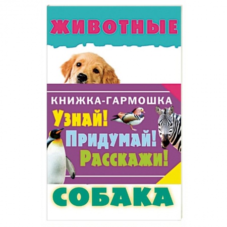 Книги, книга Животные заказать