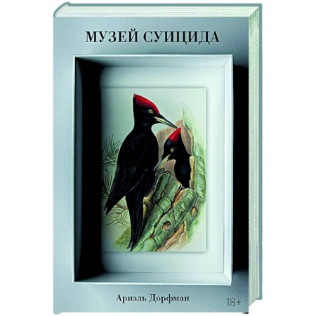 Зарубежная современная проза, книга Музей суицида заказать