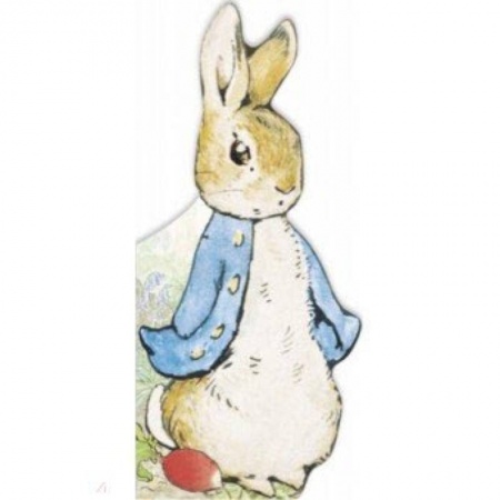 Чтение на английском языке, книга Peter Rabbit. All About Peter заказать
