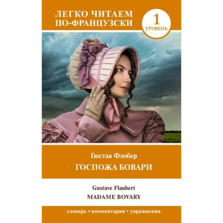 Домашнее чтение на французском языке, книга Госпожа Бовари. Уровень 1 = Madame Bovary заказать