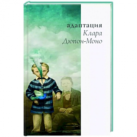 Зарубежная современная проза, книга Адаптация заказать