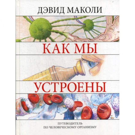 Познавательная литература, книга Как мы устроены заказать