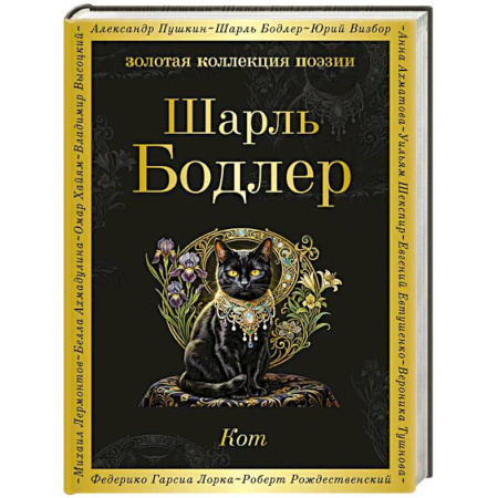 Зарубежная поэзия, книга Кот заказать