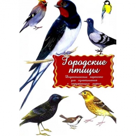 Животный и растительный мир, книга Дидактические карточки. Городские птицы заказать