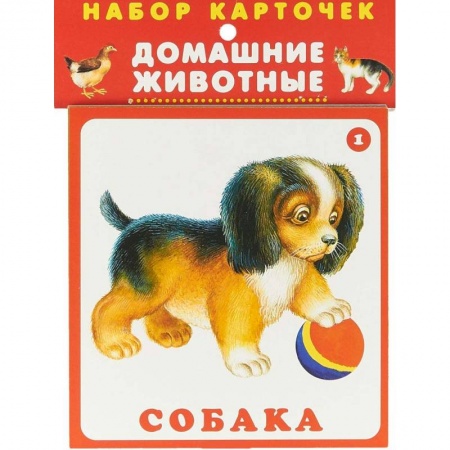 Знакомство с миром, развитие малыша, книга Набор карточек. Домашние животные заказать