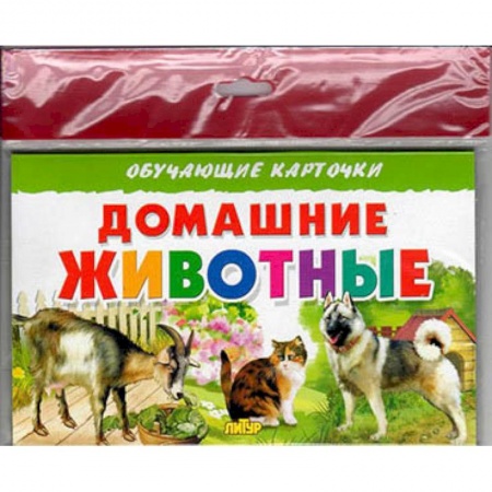 Животный и растительный мир, книга Домашние животные заказать