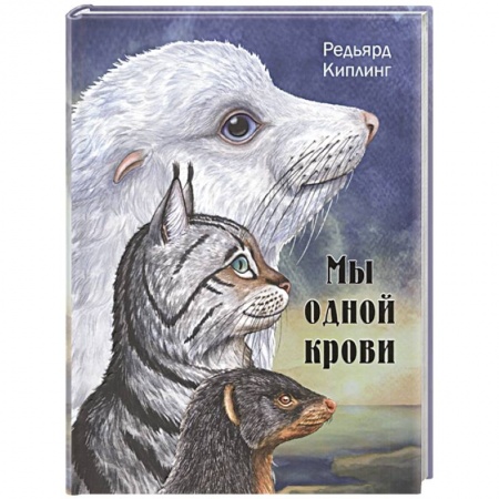 Сказки зарубежных писателей, книга Мы одной крови заказать