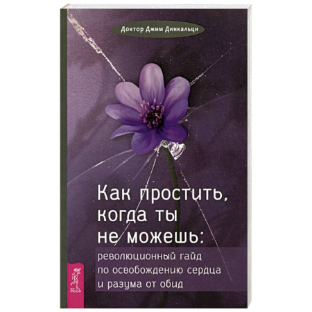 Психология общения. Межличностные коммуникации, книга Как простить, когда ты не можешь (6425) заказать