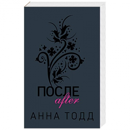 Зарубежная современная проза, книга После заказать