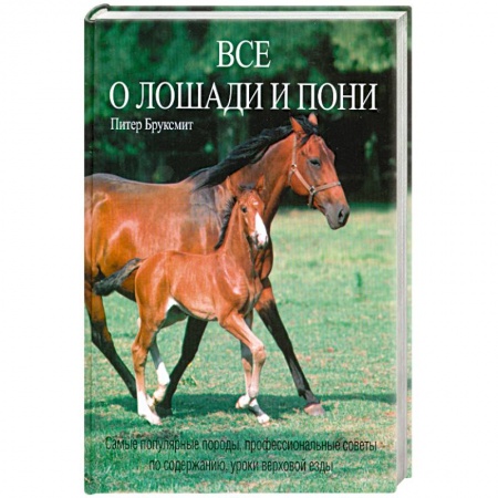 Книги, книга Все о лошади и пони заказать