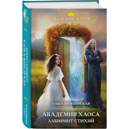 Русское фэнтези, книга Академия хаоса. Лабиринт стихий заказать