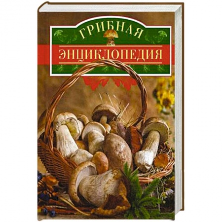 Книги, книга Грибная энциклопедия заказать