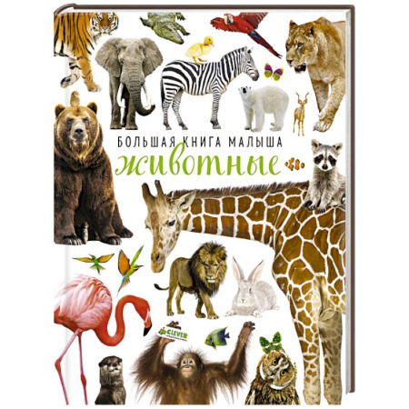 Животный и растительный мир, книга Большая книга малыша. Животные заказать