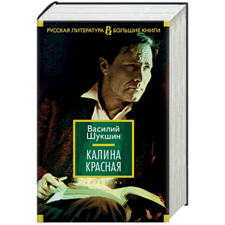 Русская современная проза, книга Калина красная заказать