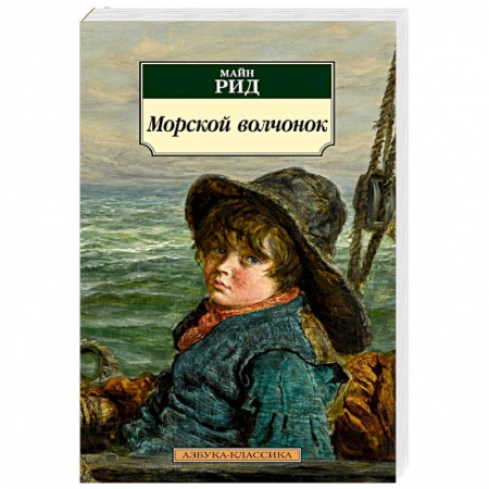 Зарубежная современная проза, книга Морской волчонок заказать