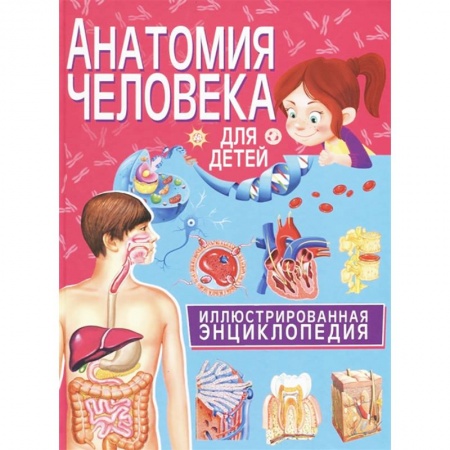 Все обо всем. Универсальные энциклопедии, книга Анатомия человека для детей. Иллюстрированная энциклопедия заказать