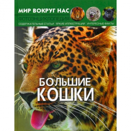 Животный и растительный мир, книга Мир вокруг нас. Большие кошки заказать