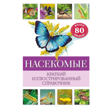 Природоведение. Окружающий мир, книга Насекомые. Краткий иллюстрированный справочник заказать