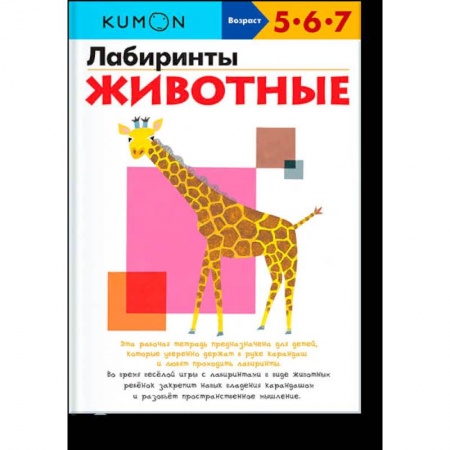 Развитие общих способностей, книга Лабиринты. Животные. заказать