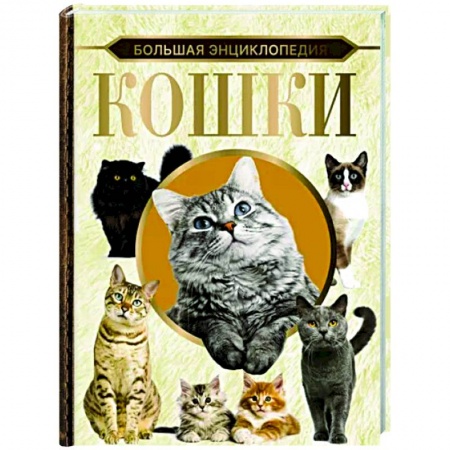 Кошки, книга Большая энциклопедия. Кошки заказать