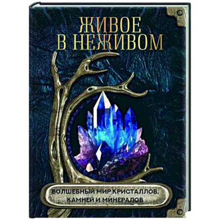 Камни, амулеты, талисманы, обереги, книга Живое в неживом. Волшебный мир кристаллов, камней и минералов заказать