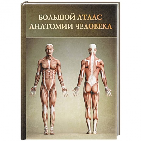 Книги, книга Большой атлас анатомии человека заказать