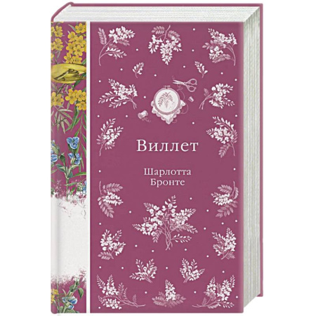 Зарубежная классика, книга Виллет (книга #43) заказать