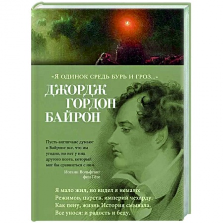 Зарубежная поэзия, книга Я одинок средь бурь и гроз заказать