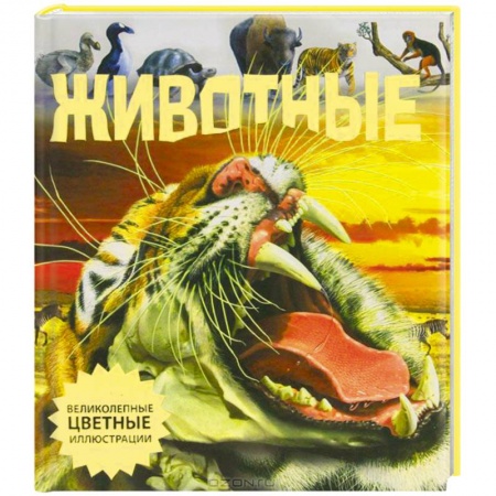 Книги, книга Животные заказать