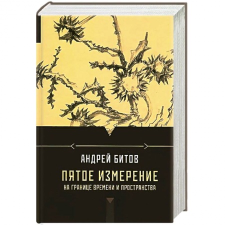 Книги, книга Пятое измерение. На границе времени и пространства заказать