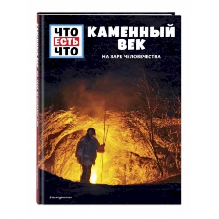 История, книга Каменный век. На заре человечества заказать