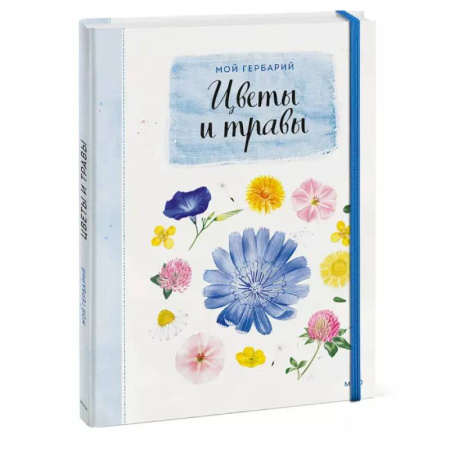 Поделки, мастерилки, книга Мой гербарий. Цветы и травы заказать