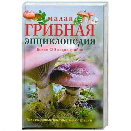 Грибы. Справочники. Определители, книга Малая грибная энциклопедия заказать