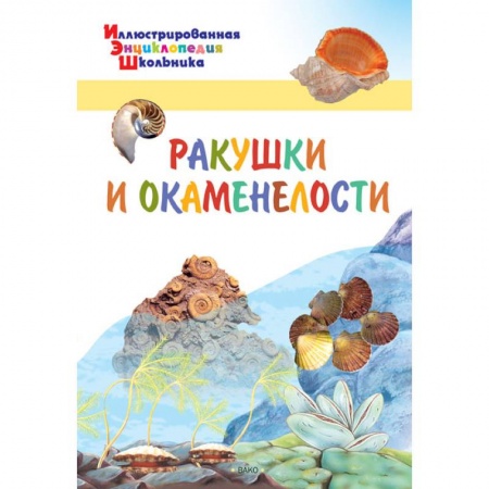 Животный и растительный мир, книга Ракушки и окаменелости заказать