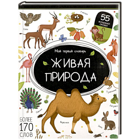 Азбука. Букварь, книга Мой первый словарь. Живая природа заказать