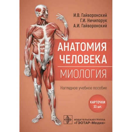 Анатомия и физиология человека, книга Анатомия человека. Миология. Карточки. Наглядное учебное пособие заказать