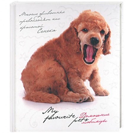 Книги, книга Домашние любимцы. My favourite pets заказать