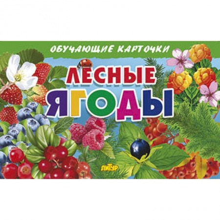 Окружающий мир, книга Лесные ягоды. Обучающие карточки заказать