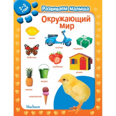 Книжки-игрушки, книга Окружающий мир. 2-3 года заказать