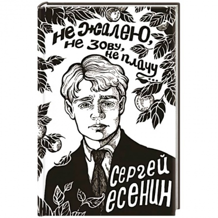 Русская поэзия, книга Не жалею, не зову, не плачу... заказать