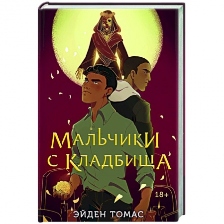 Зарубежная фантастика, книга Мальчики с кладбища заказать